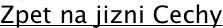 shapeimage_1_link_1